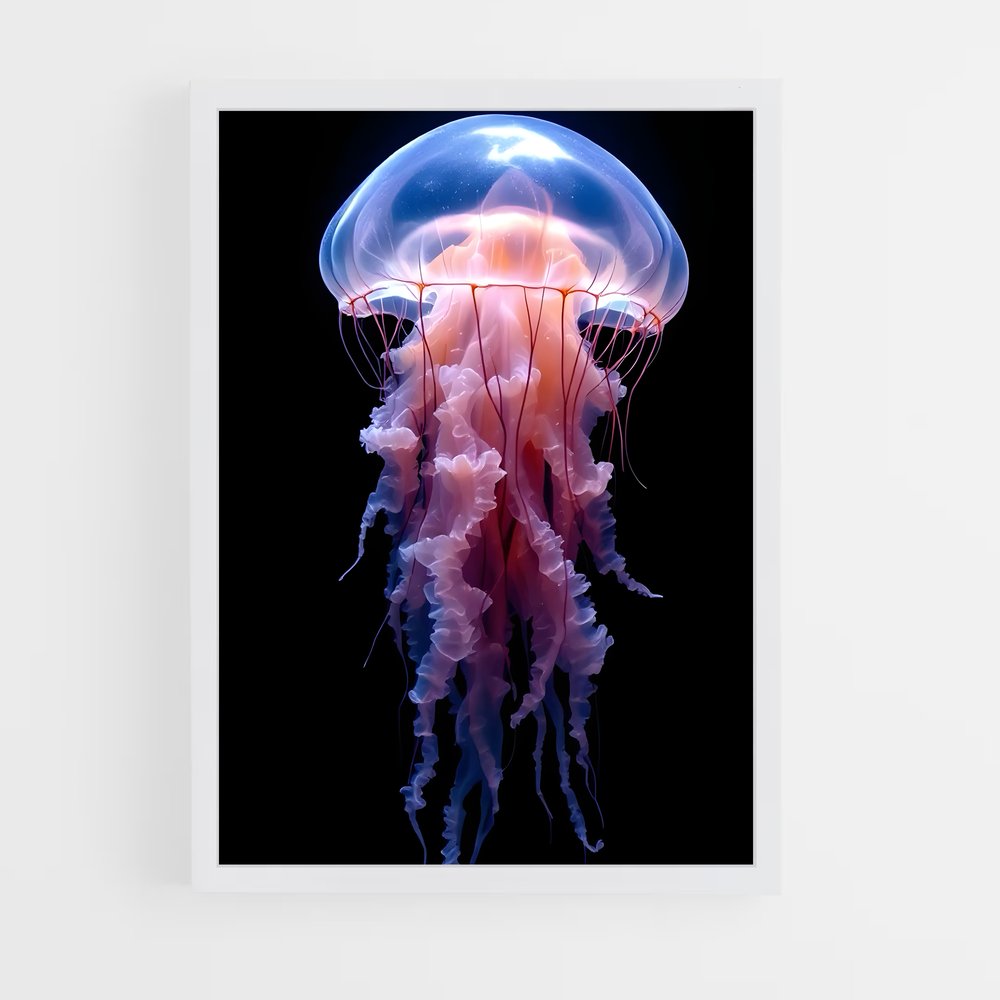 ap-jellyfish-4 cadre Blanc