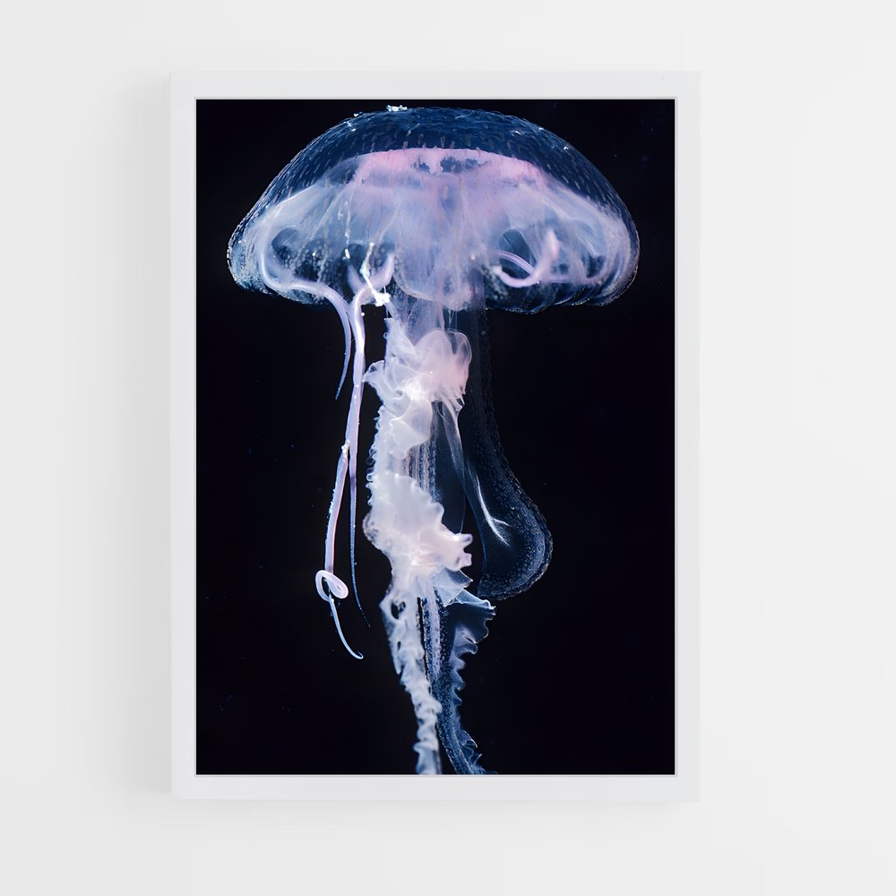 ap-jellyfish-9 cadre Blanc