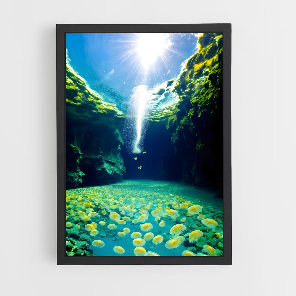 ap-jellyfish lake-4 cadre Noir