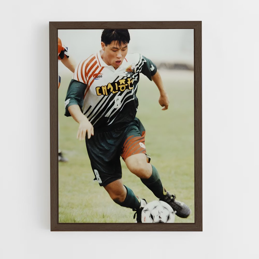 ap-jeonnam dragons-1 cadre Bois foncé