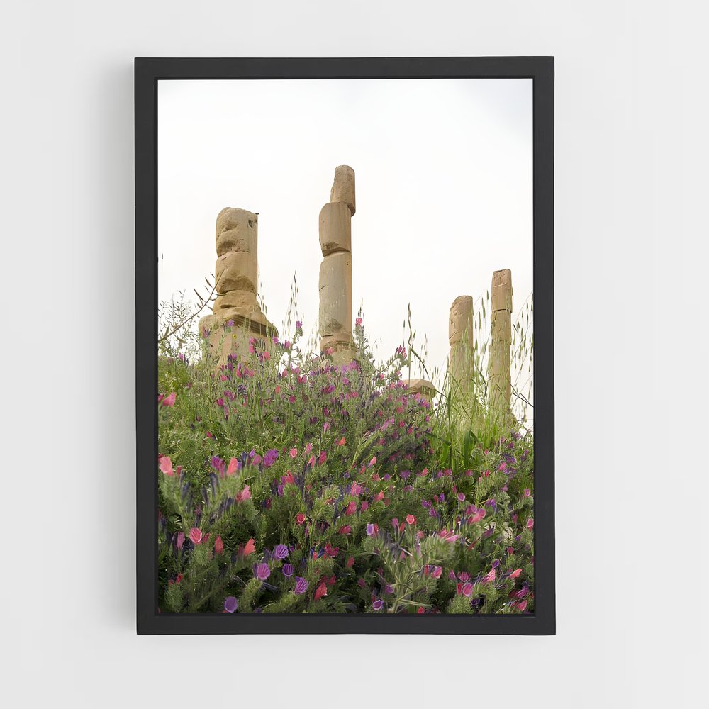 ap-jerash ruins-3 cadre Noir