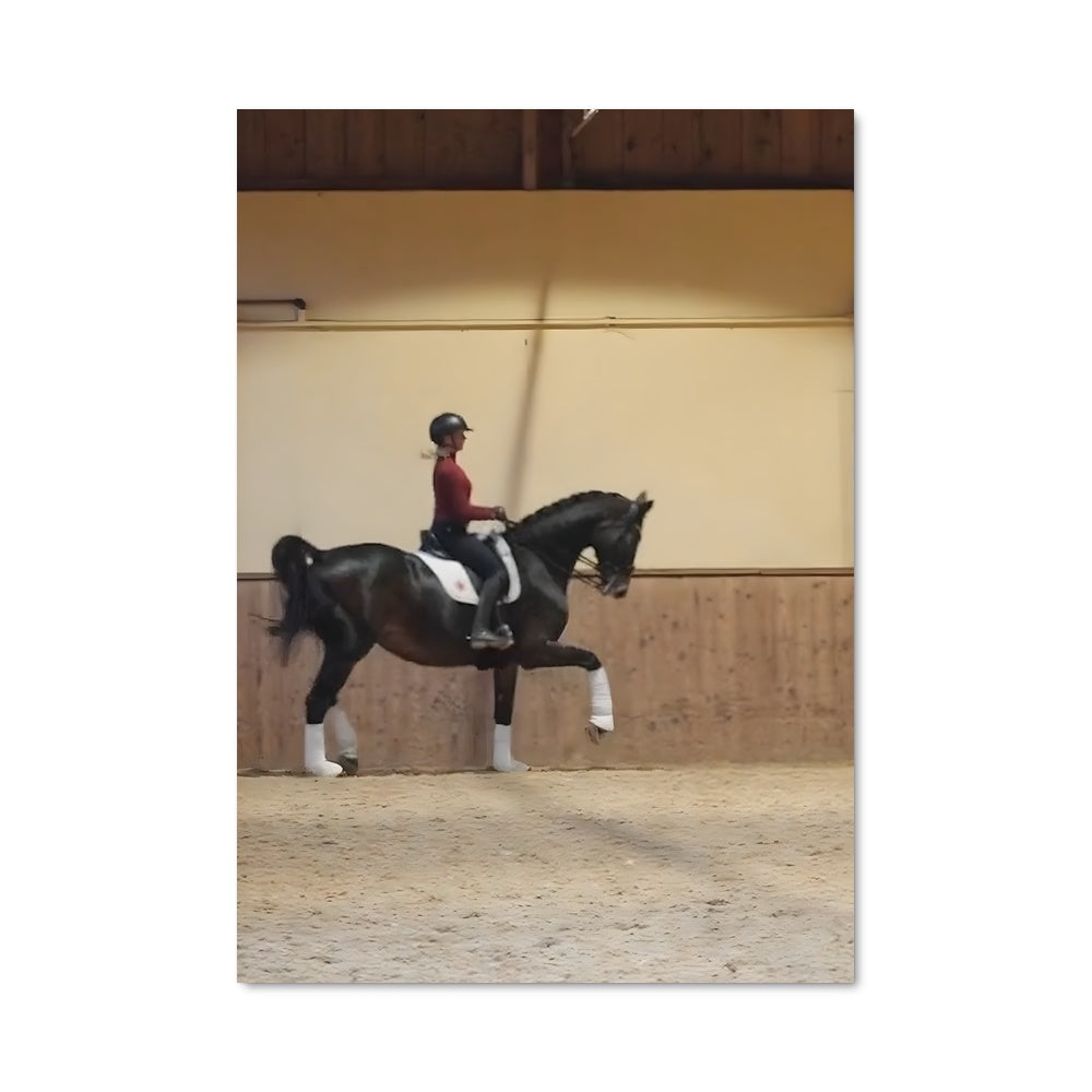 Poster Équitation Émotion