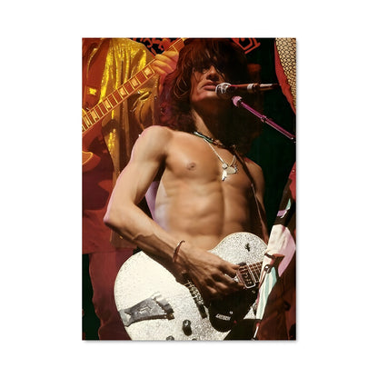 Poster Joe perry 55326