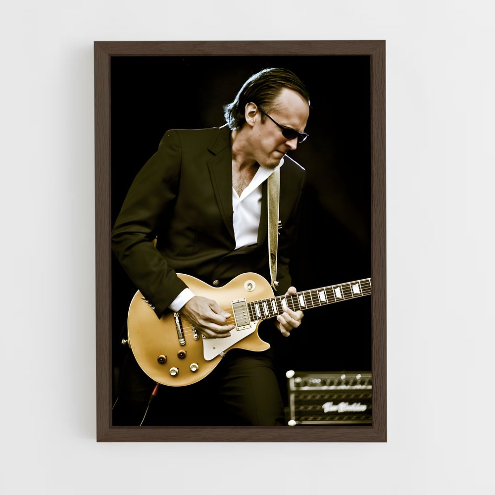 ap-joe bonamassa-2 cadre Bois foncé