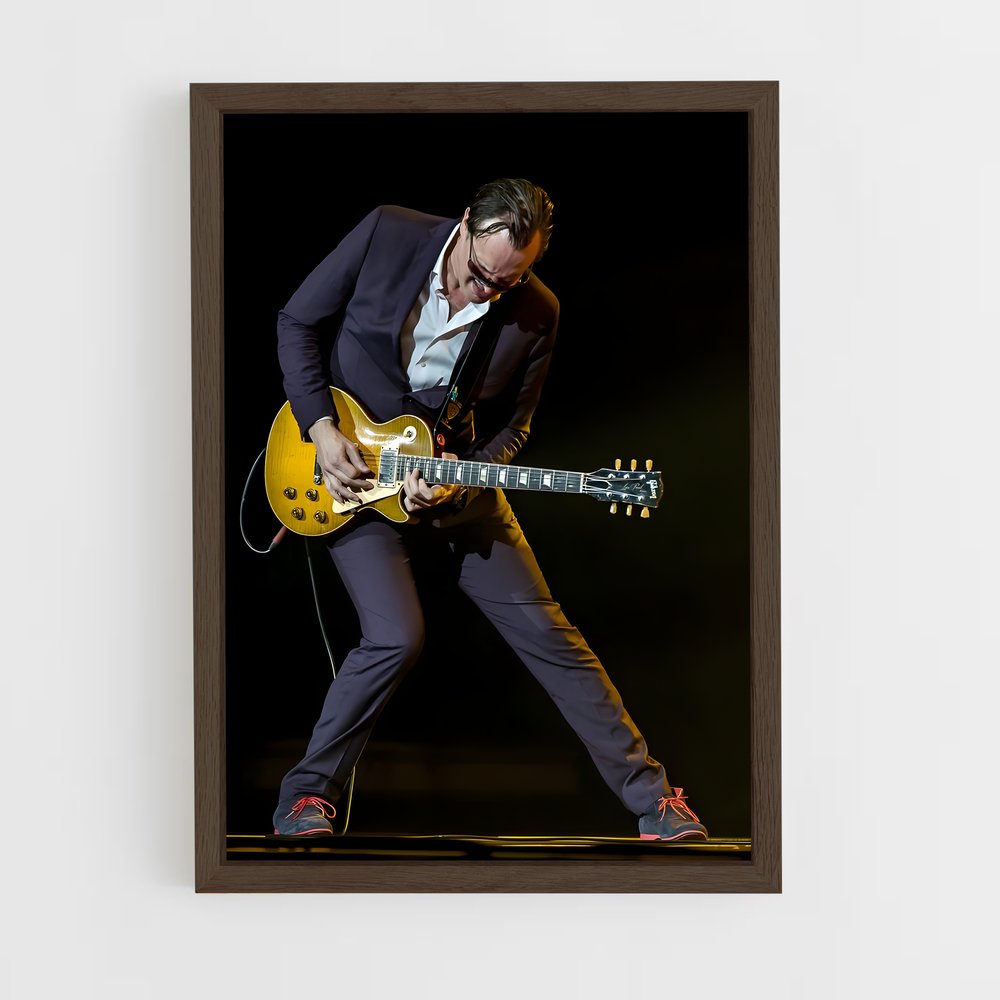 ap-joe bonamassa-3 cadre Bois foncé