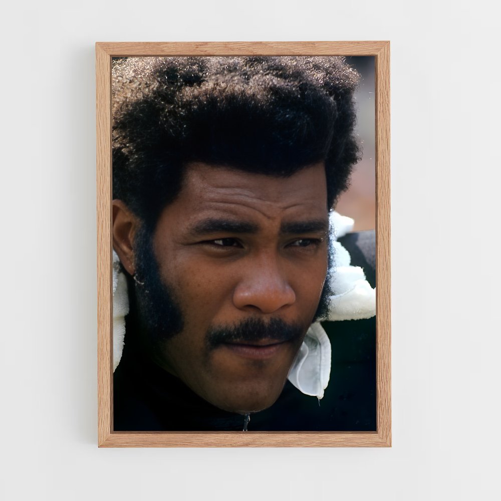ap-joe greene-2 cadre Bois clair
