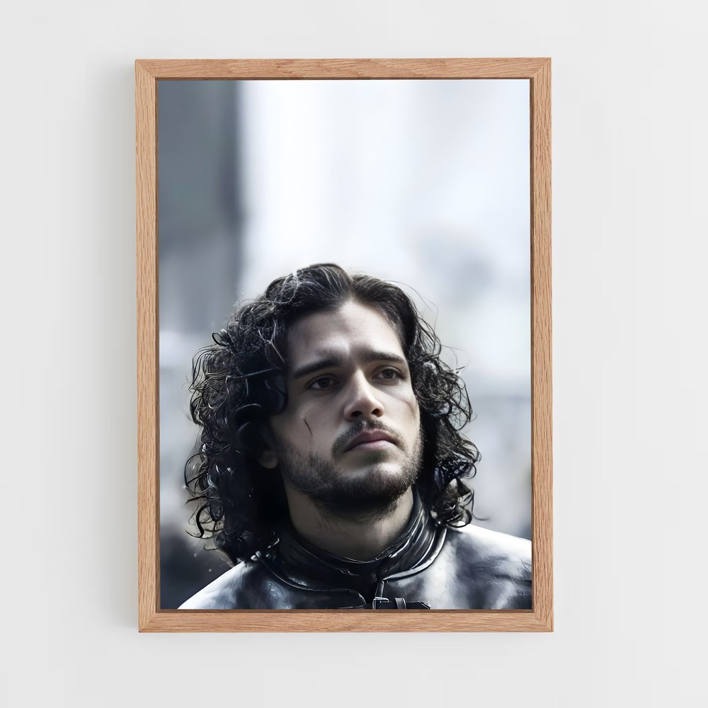 ap-jon snow-2 cadre Bois clair