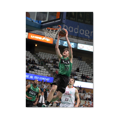 Poster Dunk Émeraude