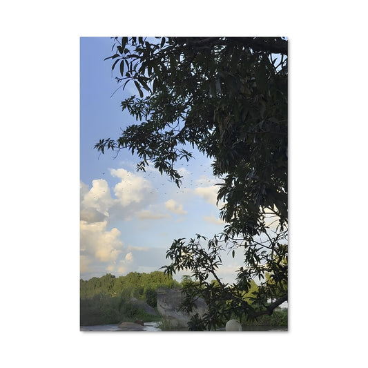 Poster Rêve Fluvial