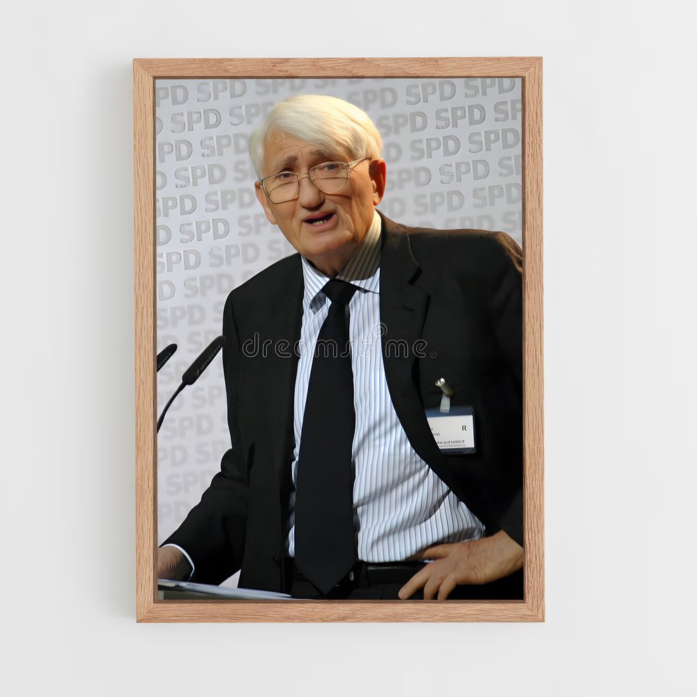 ap-juergen habermas-1 cadre Bois clair