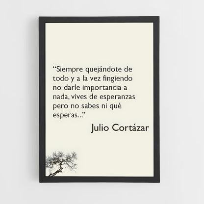 ap-julio cortazar-4 cadre Noir