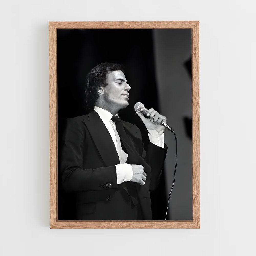 ap-julio iglesias-6 cadre Bois clair