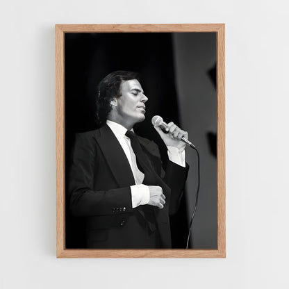 ap-julio iglesias-6 cadre Bois clair