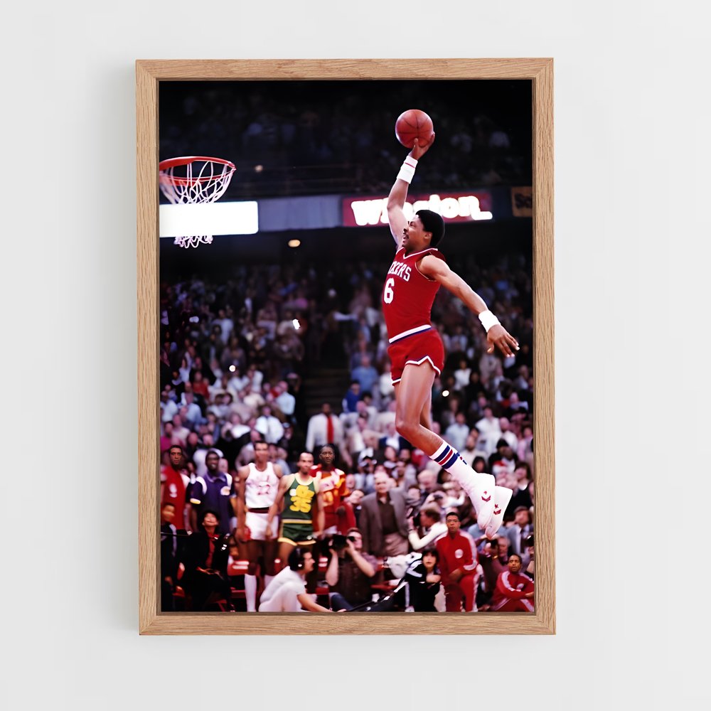 ap-julius erving-2 cadre Bois clair