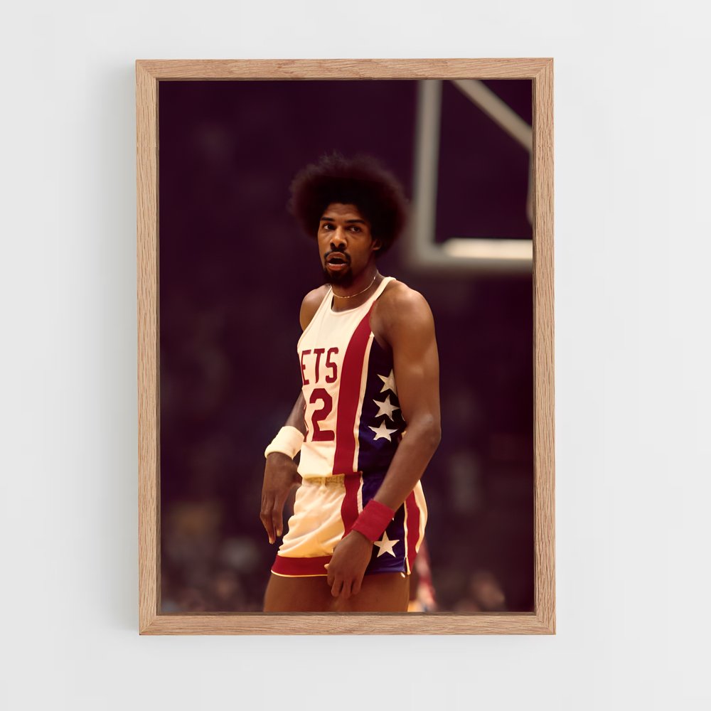 ap-julius erving-8 cadre Bois clair
