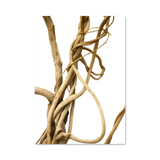 Poster Entre les Branches