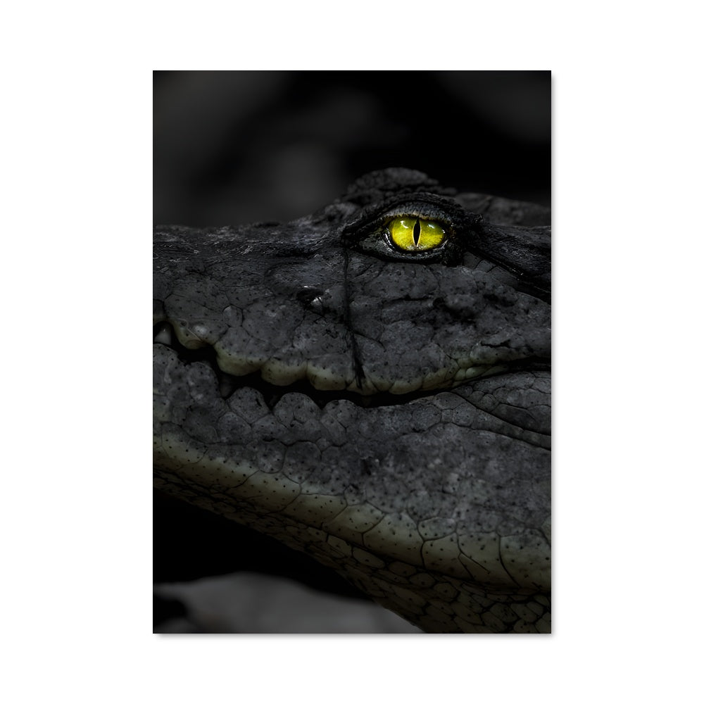 Poster Regard du Crocodile