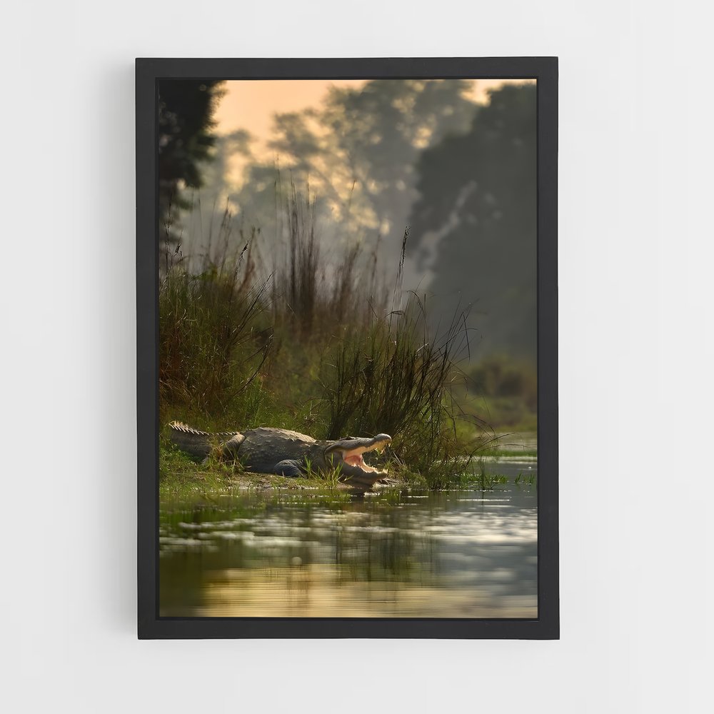 ap-kachikally crocodile pool-4 cadre Noir