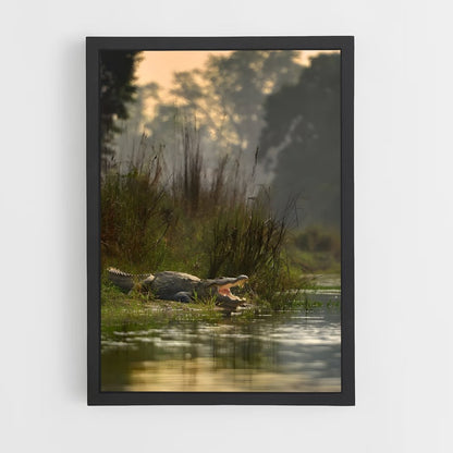 ap-kachikally crocodile pool-4 cadre Noir