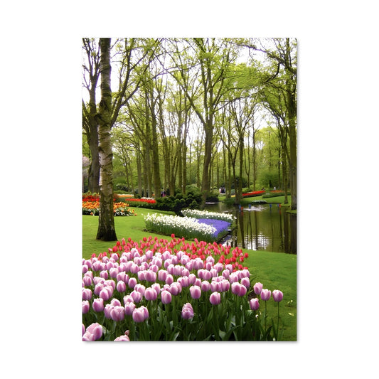 Poster Tuk Tuk en Fleurs