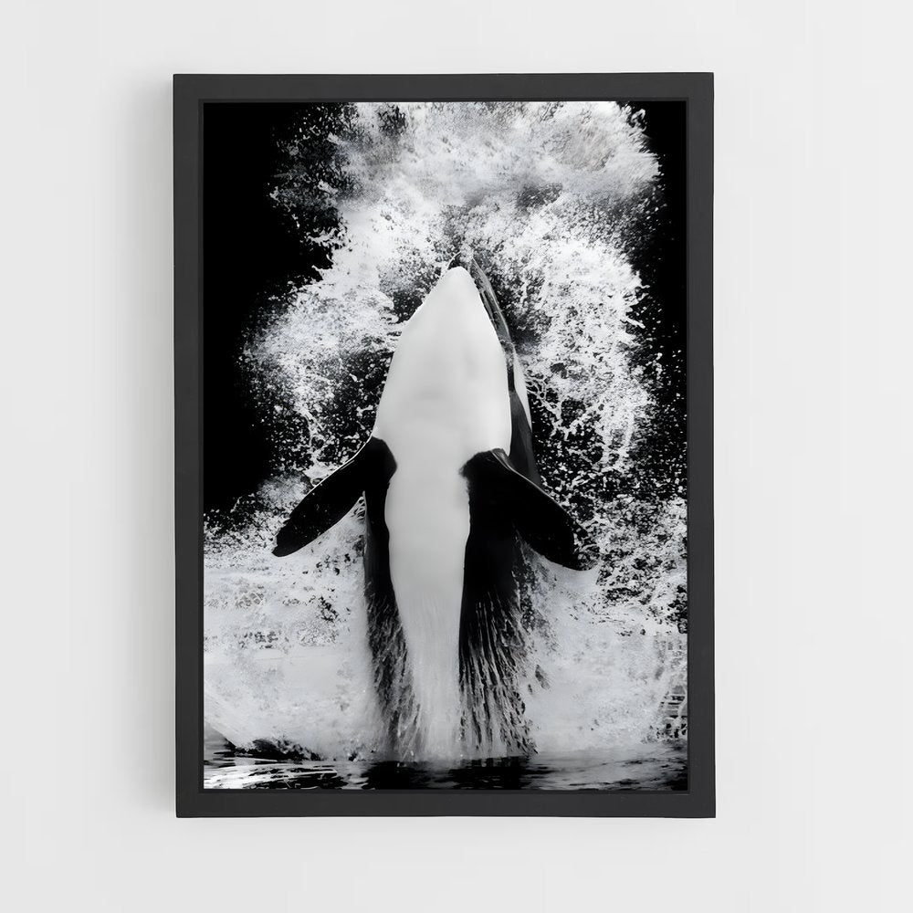 ap-killer whale-4 cadre Noir