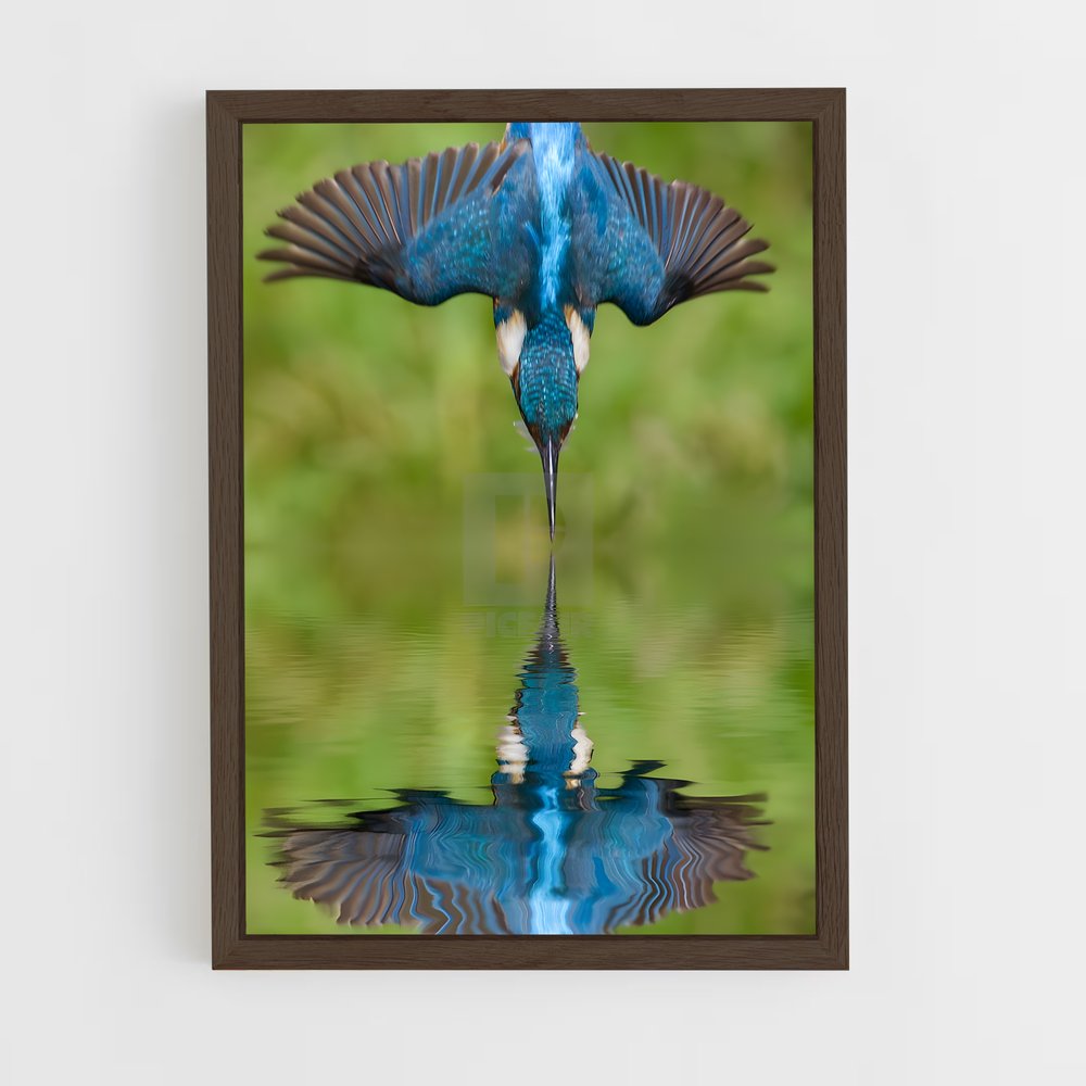 ap-kingfisher-2 cadre Bois foncé