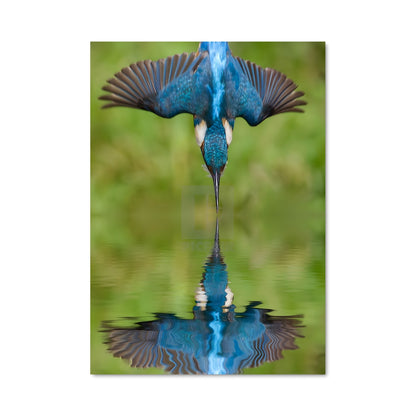 Poster L'Oiseau de Jade