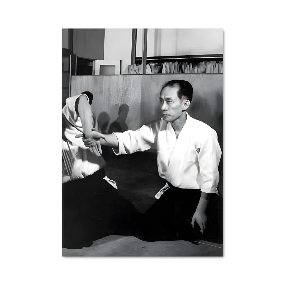 Poster Arts Martiaux: L'Alliance
