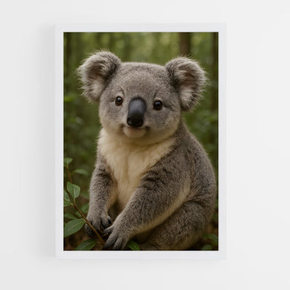 ap-koala-2 cadre Blanc
