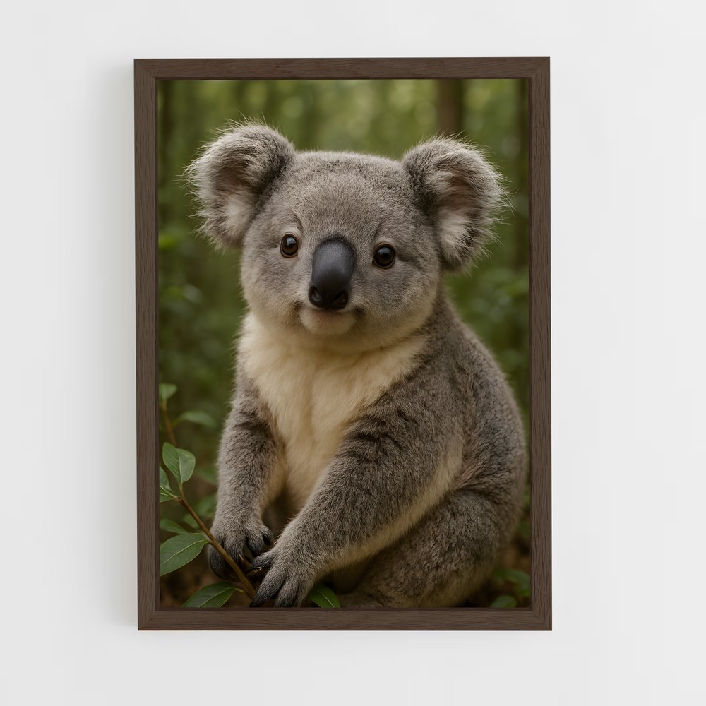 ap-koala-2 cadre Bois foncé