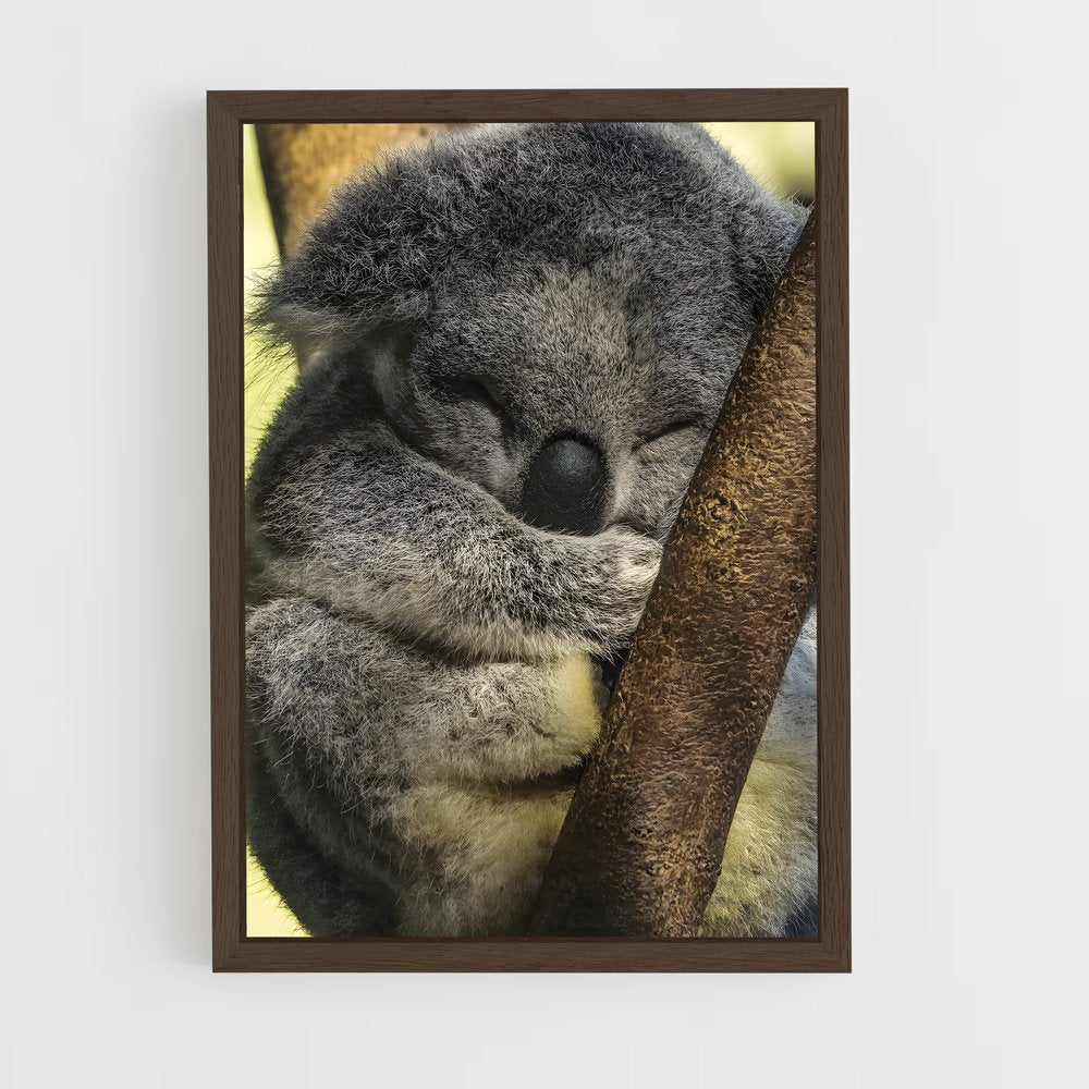 ap-koala-4 cadre Bois foncé