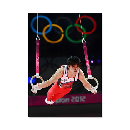 Poster Envol Gymnique