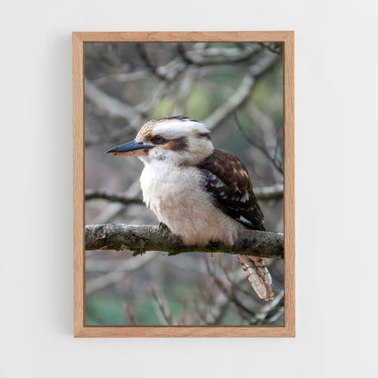 ap-kookaburra-8 cadre Bois clair