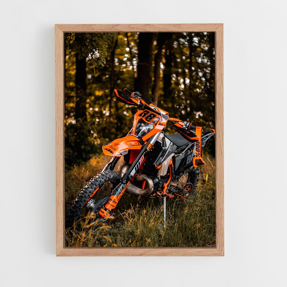 ap-ktm moto-2 cadre Bois clair
