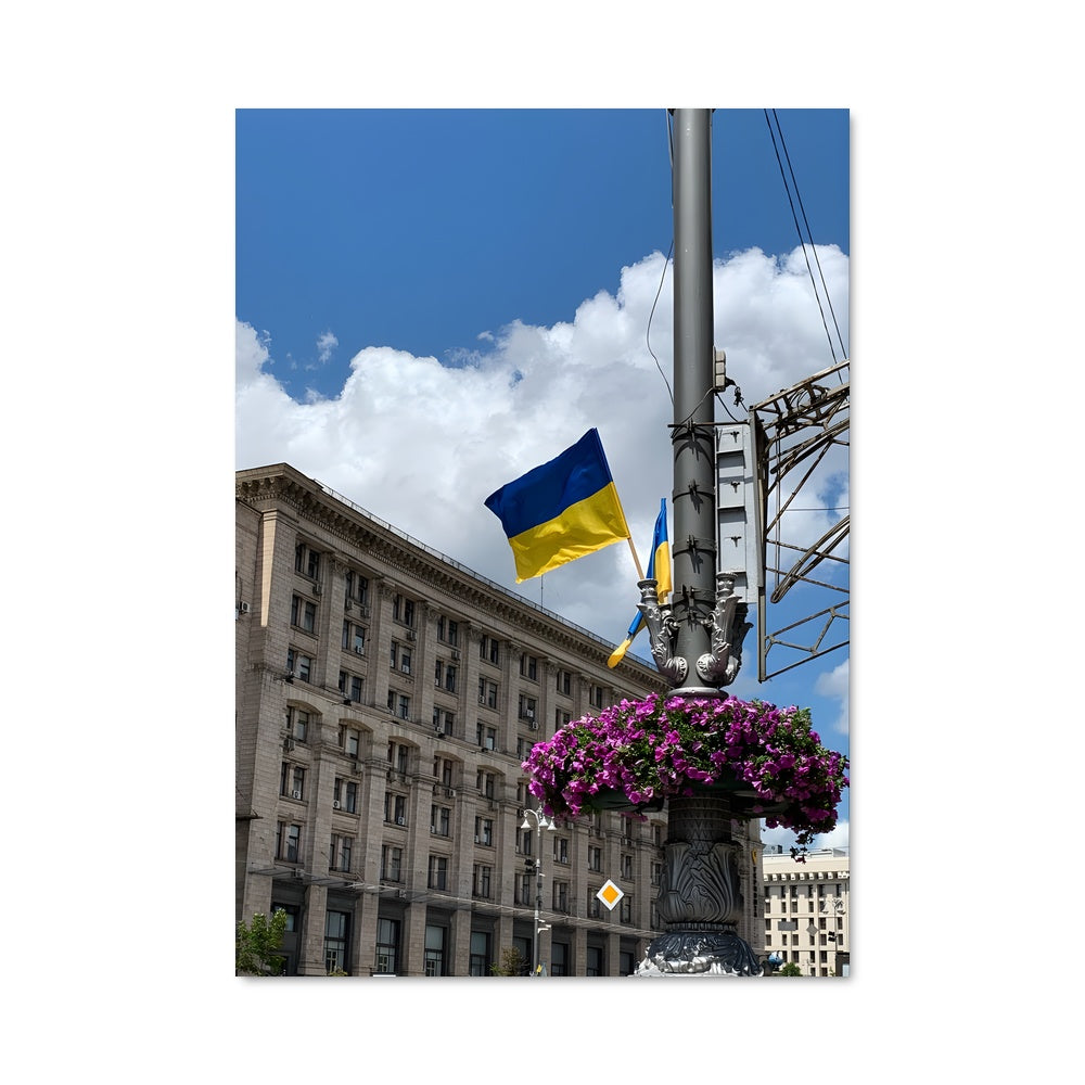 Poster Lumières et Fleurs