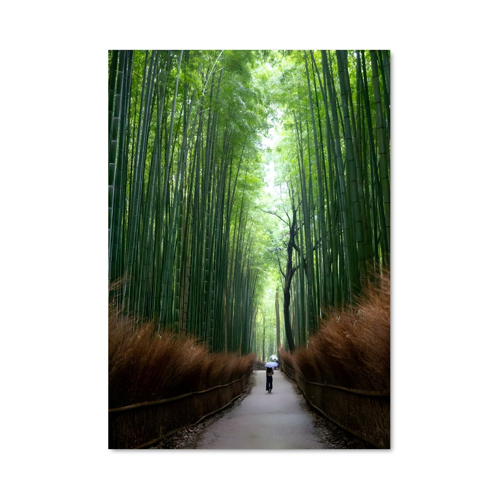 Poster Promenade en Bamboo