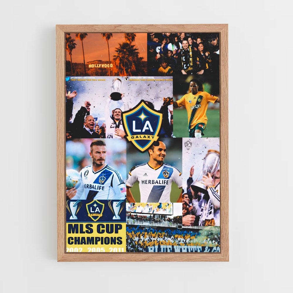 ap-la galaxy-3 cadre Bois clair