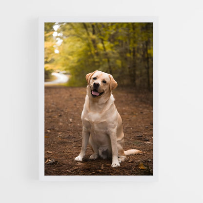 ap-labrador retriever-4 cadre Blanc