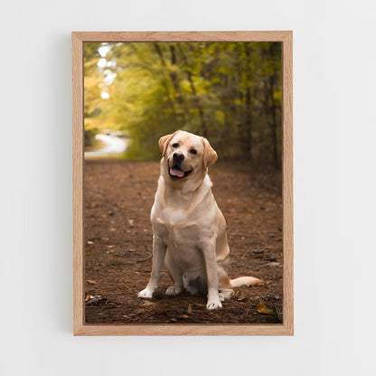 ap-labrador retriever-4 cadre Bois clair