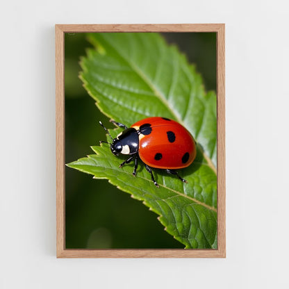 ap-ladybug-1 cadre Bois clair