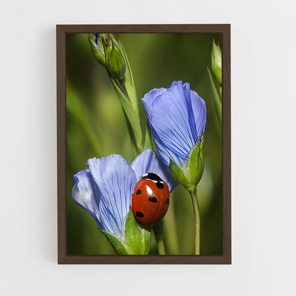 ap-ladybug-14 cadre Bois foncé