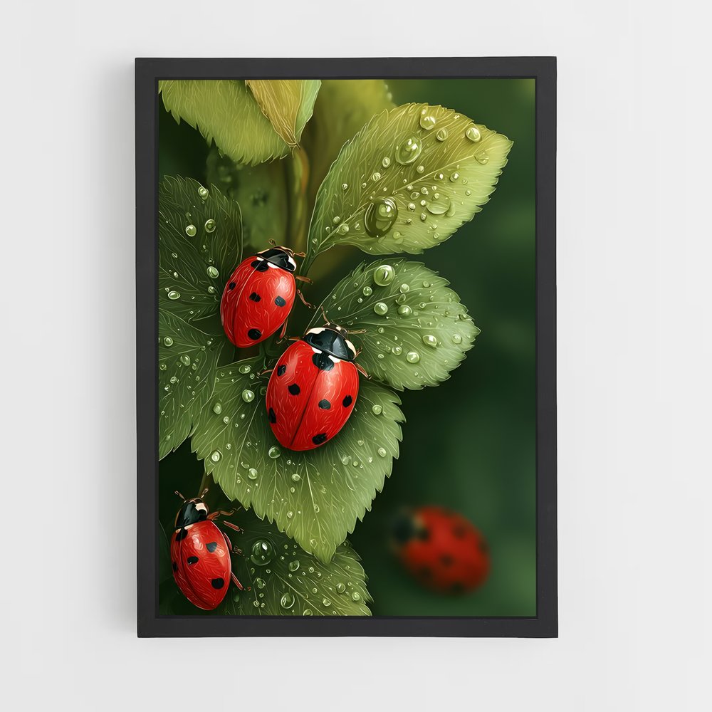 ap-ladybug-2 cadre Noir