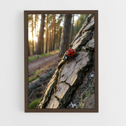 ap-ladybug-4 cadre Bois foncé