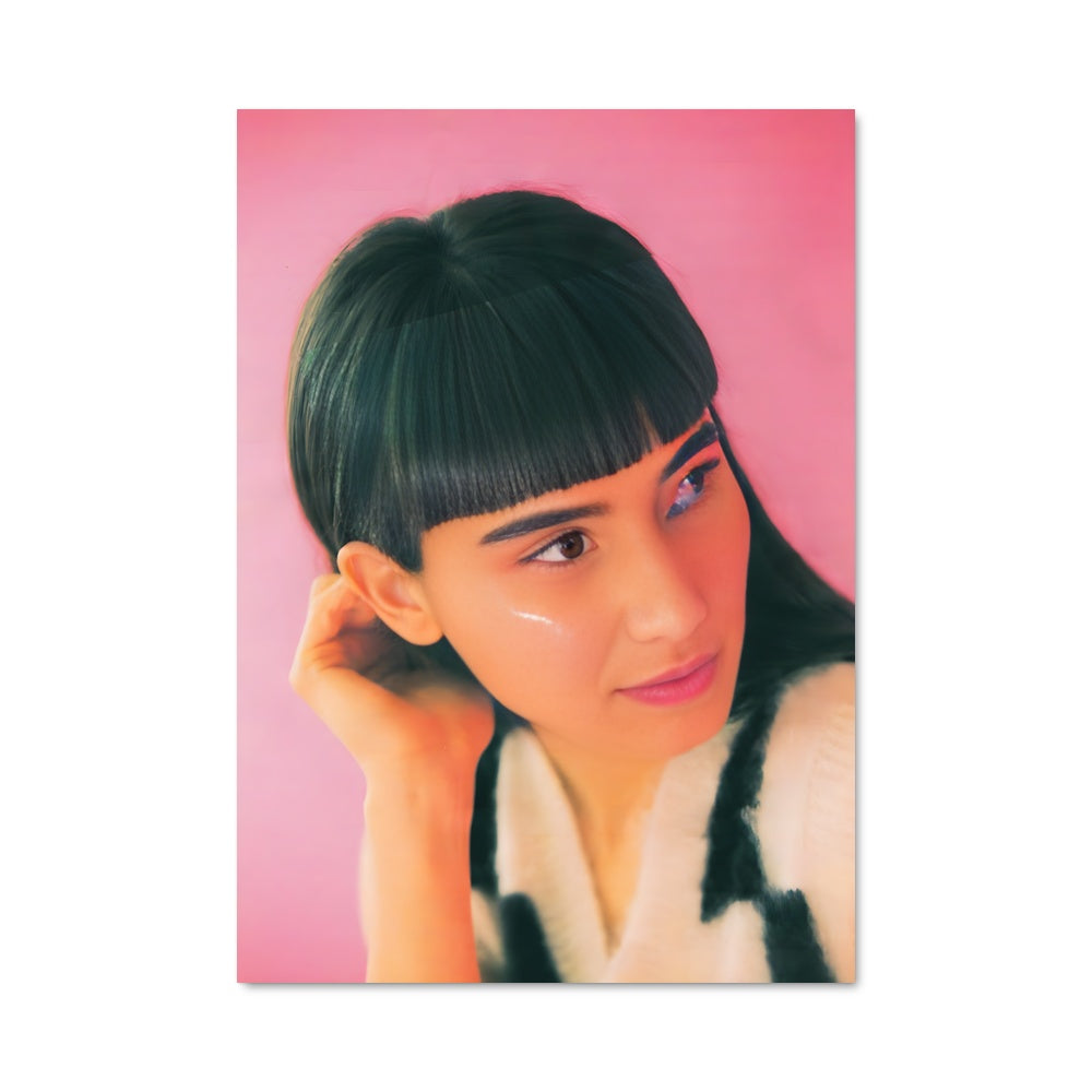 Poster Laleh 51749