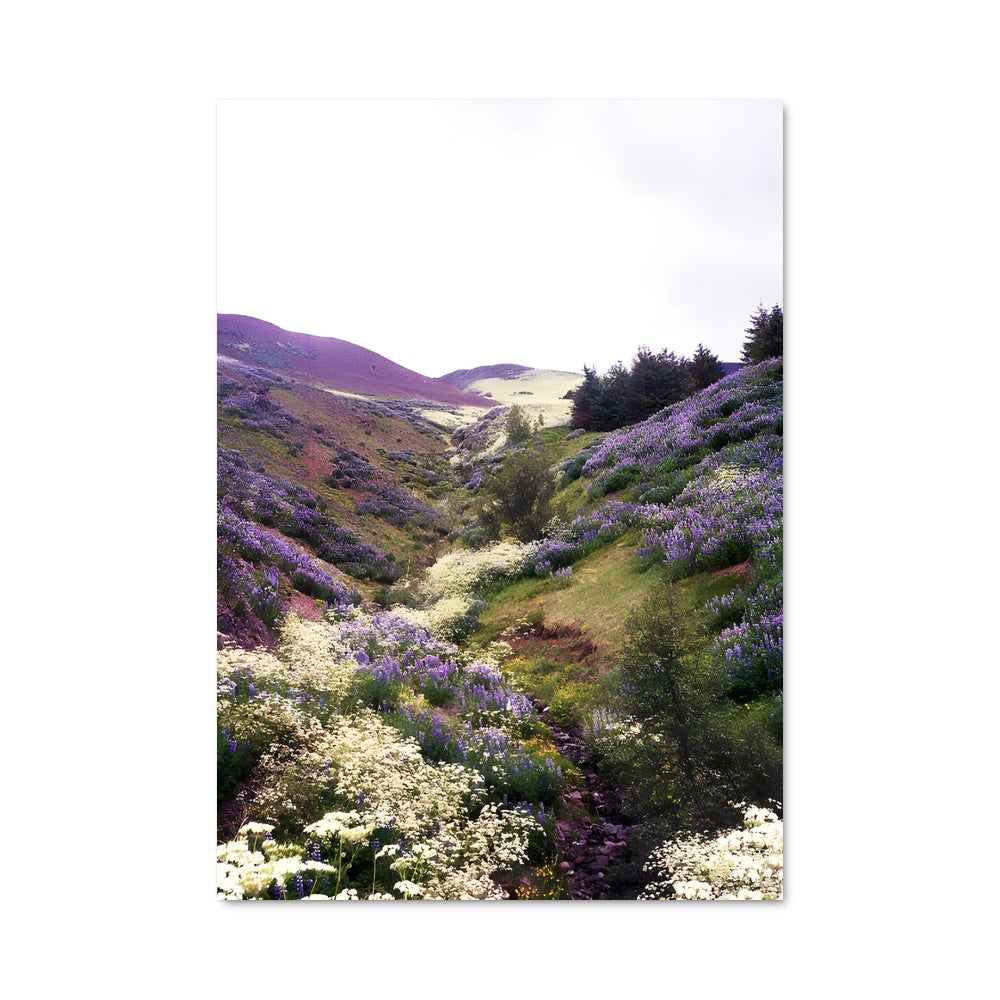 Poster Landscape 94315