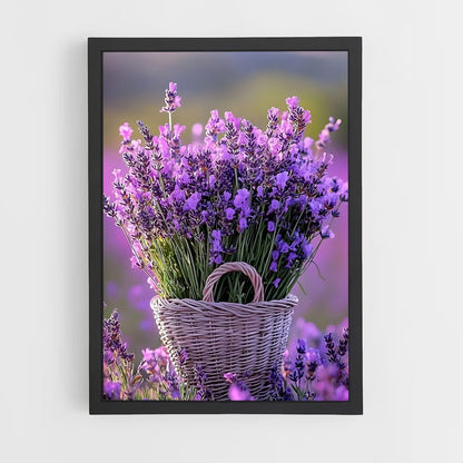 ap-lavender-11 cadre Noir