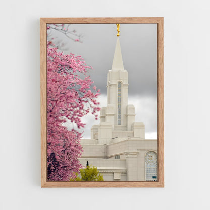 ap-lds temple-5 cadre Bois clair