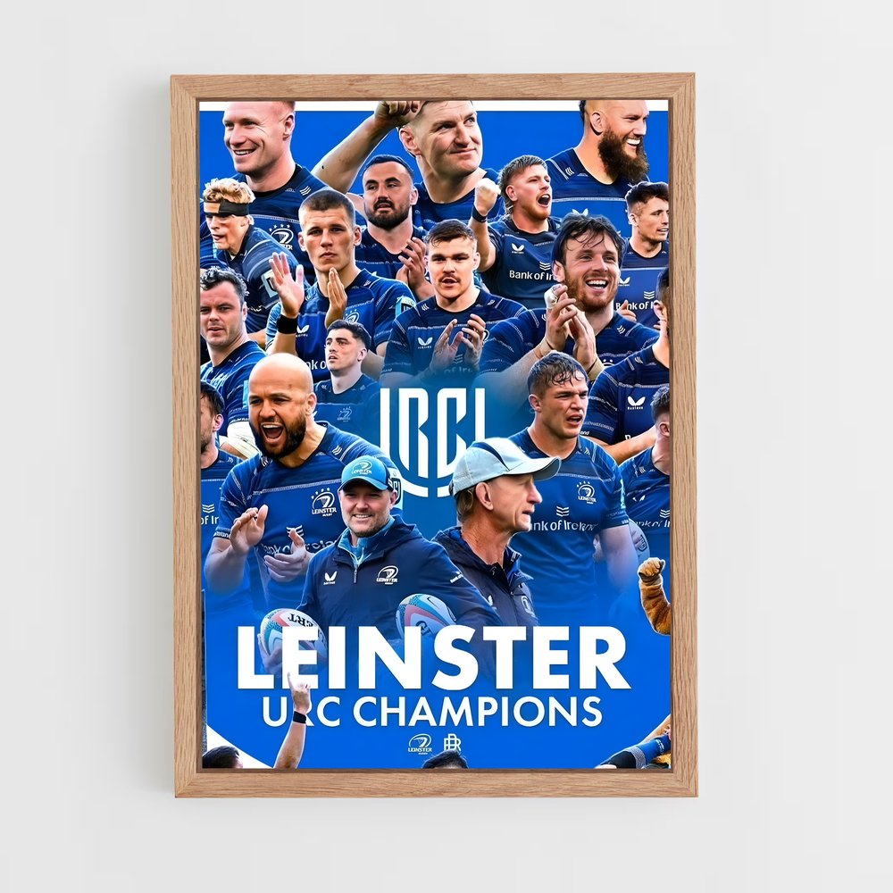 ap-leinster-1 cadre Bois clair