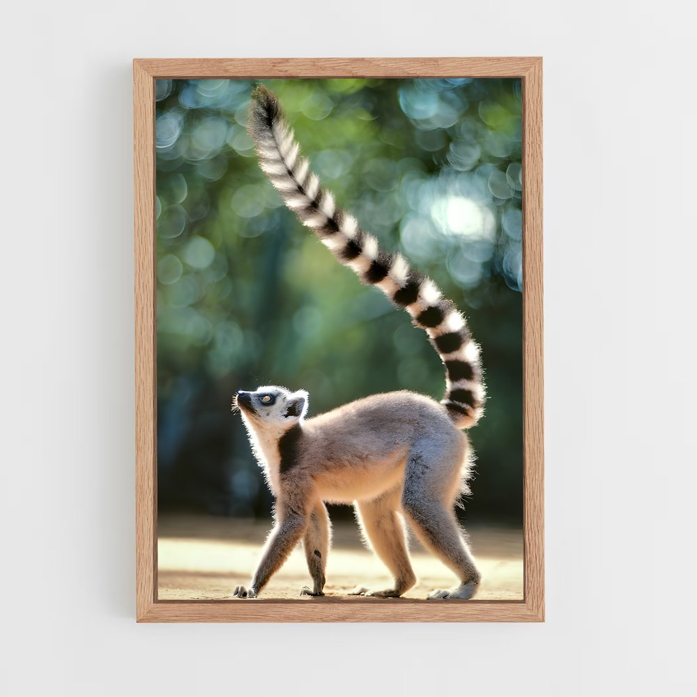 ap-lemur-2 cadre Bois clair