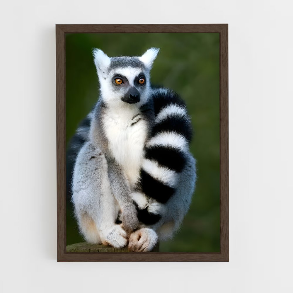 ap-lemur-4 cadre Bois foncé